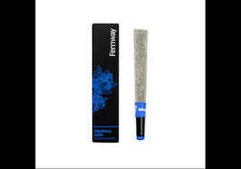 Fernway | 1g Blueberry Cake Preroll 