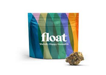 Float | 3.5g Space Case Flower 
