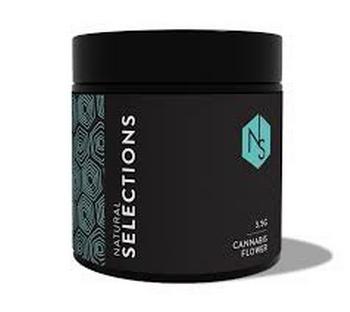 Natural Selections | 3.5g Pura Vida Flower
