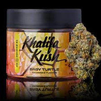 Khalifa Kush | 3.5g Baby Turtle Flower