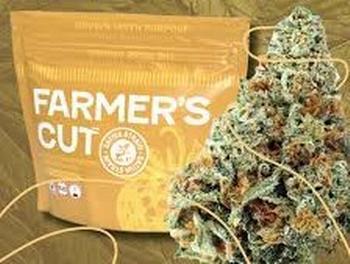 Farmer's Cut | 3.5g Pink Lemonade Gelato Flower 