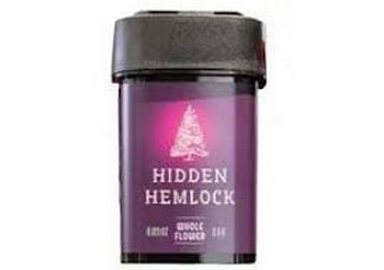 Hidden Hemlock | 3.5g Permanent Marker Flower