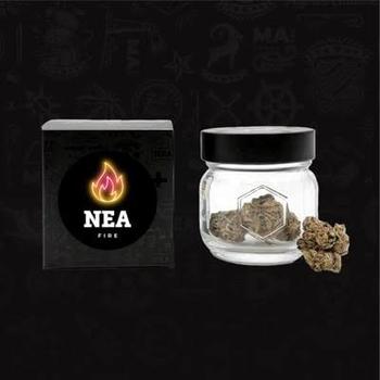 NEA Fire | 3.5g Tropicana Banana Small Flower 
